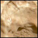 This image was taken by MCZ_LEFT onboard NASA's Mars rover Perseverance on Sol 1316