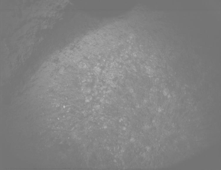 This image was taken by PIXL_MCC onboard NASA's Mars rover Perseverance on Sol 1317