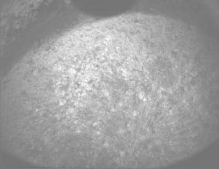 View image taken on Mars, Mars Perseverance Sol 1317: PIXL Camera 