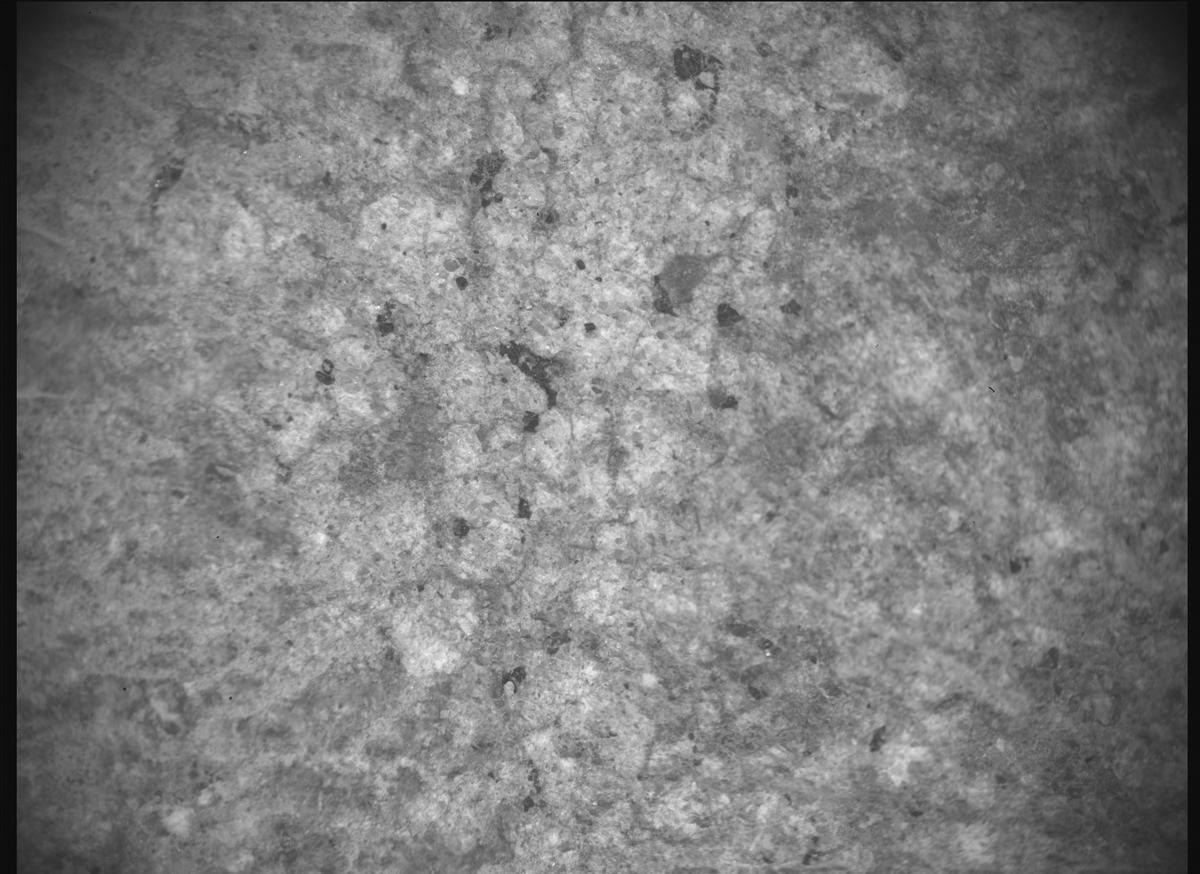 This image was taken by SHERLOC_ACI onboard NASA's Mars rover Perseverance on Sol 1317