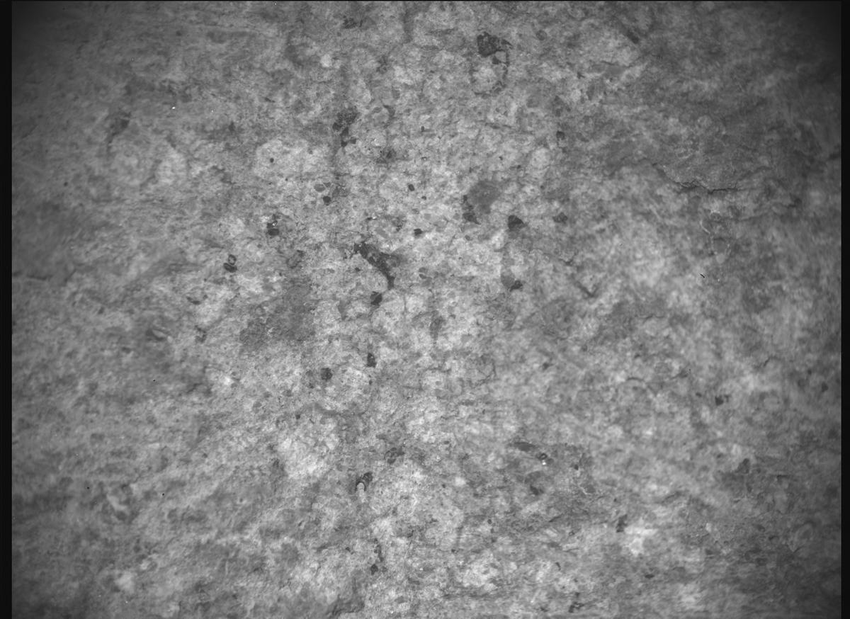 This image was taken by SHERLOC_ACI onboard NASA's Mars rover Perseverance on Sol 1317