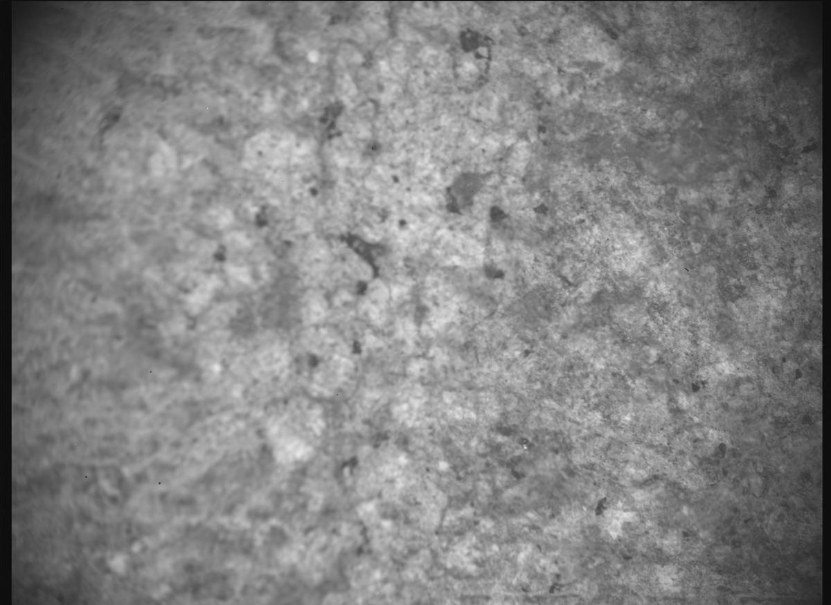 This image was taken by SHERLOC_ACI onboard NASA's Mars rover Perseverance on Sol 1317