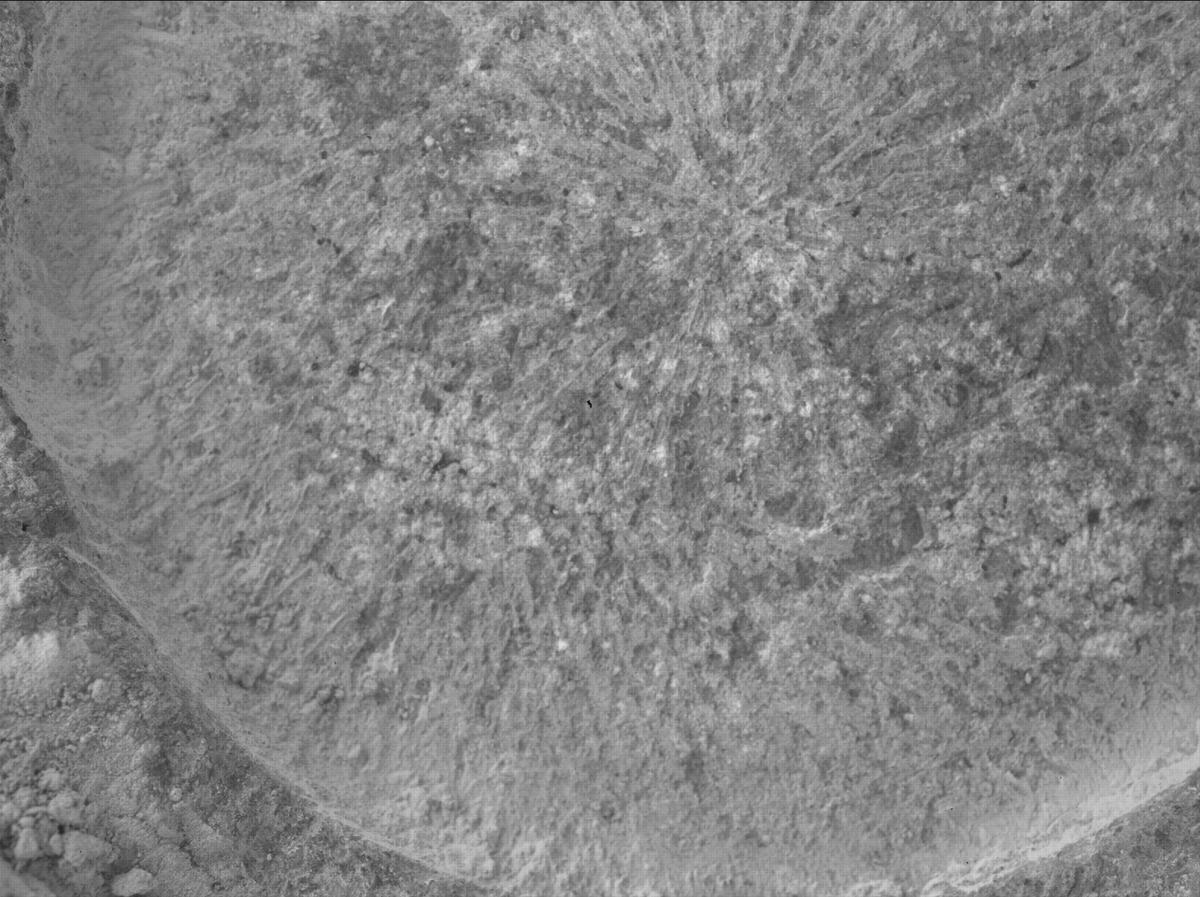 This image was taken by SHERLOC_WATSON onboard NASA's Mars rover Perseverance on Sol 1317