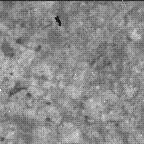 View image taken on Mars, Mars Perseverance Sol 1317: WATSON Camera 