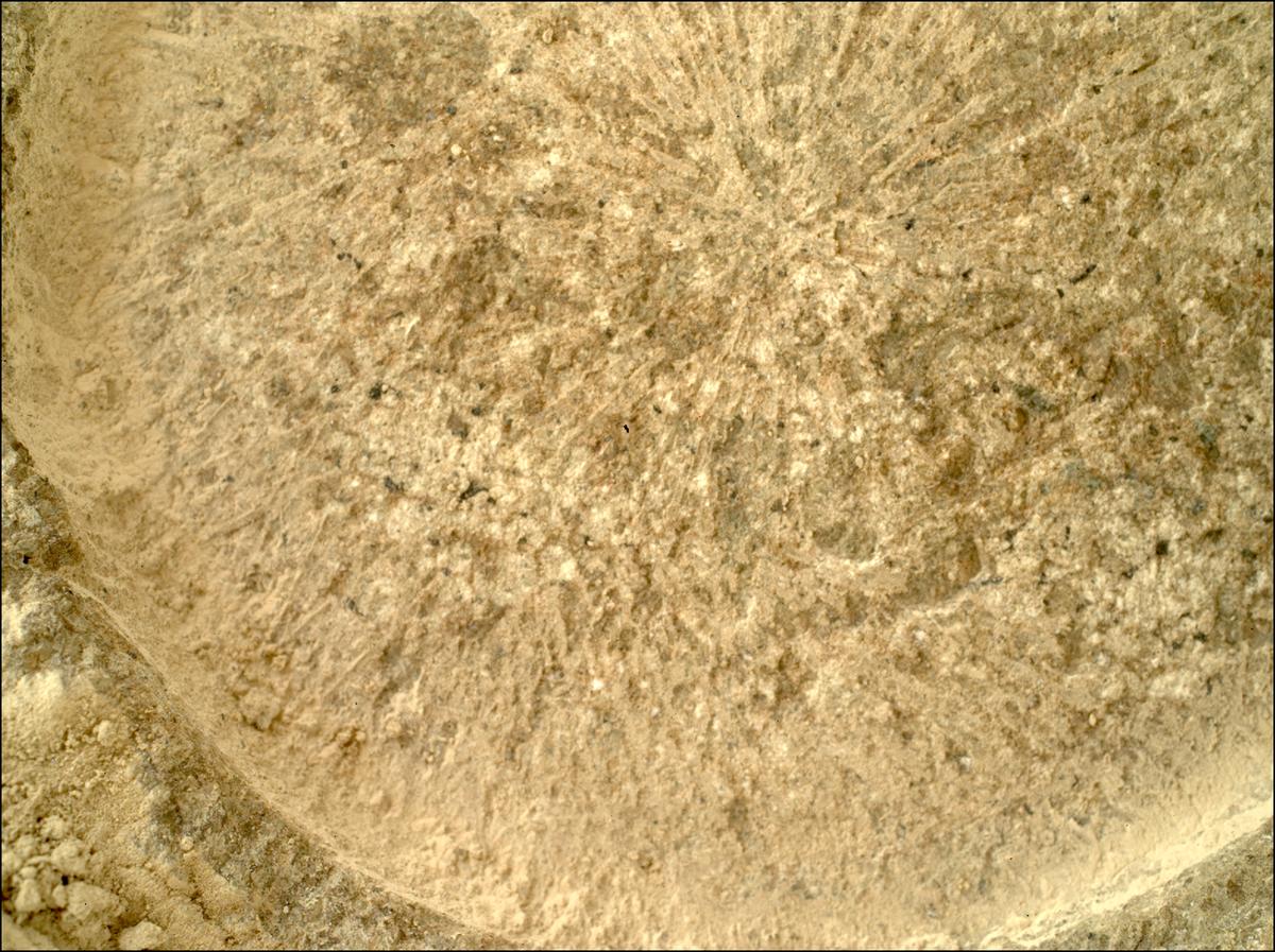 This image was taken by SHERLOC_WATSON onboard NASA's Mars rover Perseverance on Sol 1317