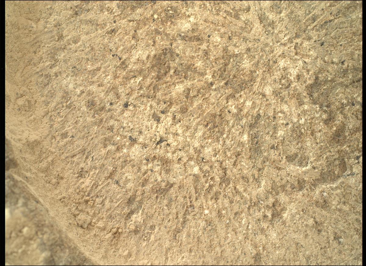 This image was taken by SHERLOC_WATSON onboard NASA's Mars rover Perseverance on Sol 1317