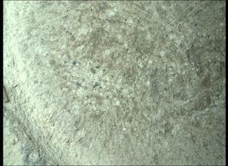 View image taken on Mars, Mars Perseverance Sol 1317: WATSON Camera 