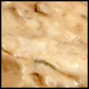 This image was taken by MCZ_RIGHT onboard NASA's Mars rover Perseverance on Sol 1317