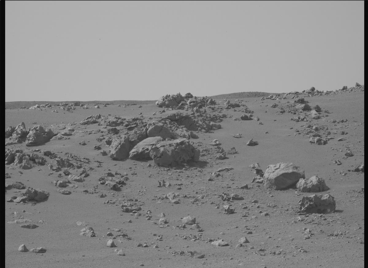 This image was taken by MCZ_LEFT onboard NASA's Mars rover Perseverance on Sol 1318