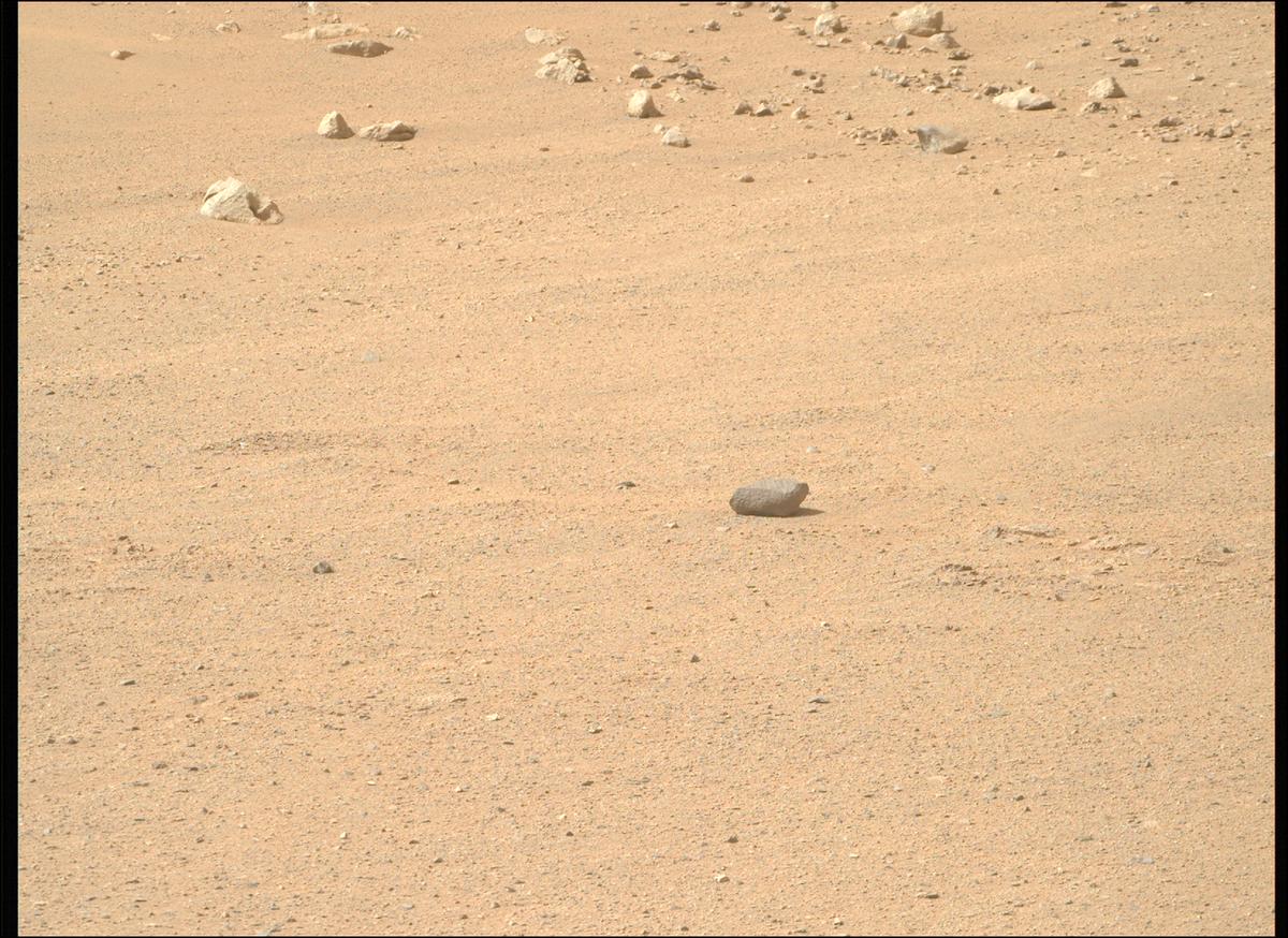 This image was taken by MCZ_RIGHT onboard NASA's Mars rover Perseverance on Sol 1318