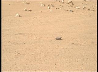 View image taken on Mars, Mars Perseverance Sol 1318: Right Mastcam-Z Camera