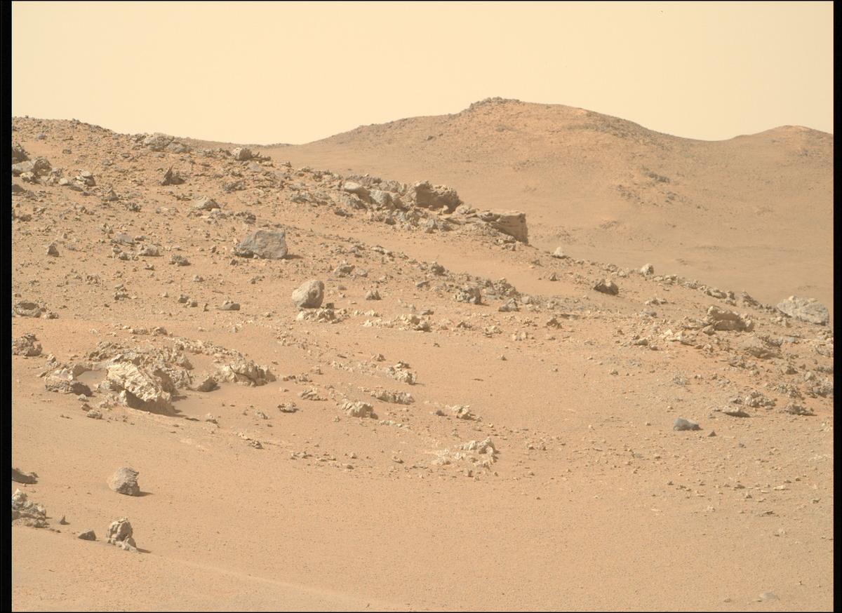 This image was taken by MCZ_RIGHT onboard NASA's Mars rover Perseverance on Sol 1318