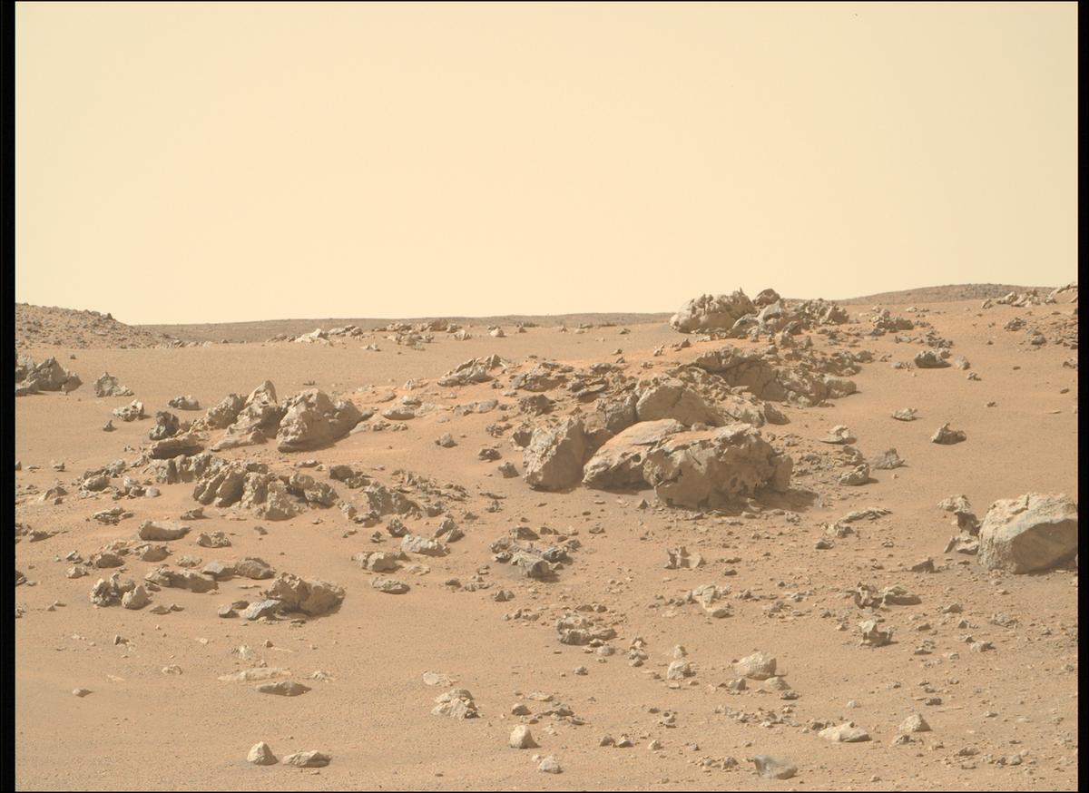 This image was taken by MCZ_RIGHT onboard NASA's Mars rover Perseverance on Sol 1318