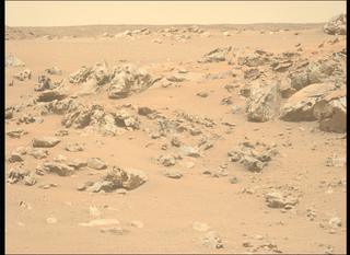 View image taken on Mars, Mars Perseverance Sol 1319: Left Mastcam-Z Camera