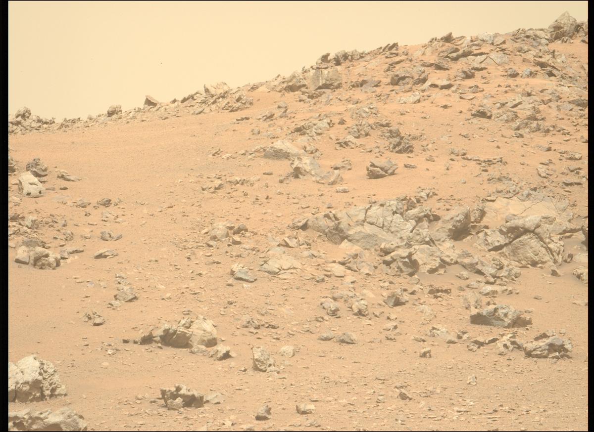 This image was taken by MCZ_LEFT onboard NASA's Mars rover Perseverance on Sol 1319