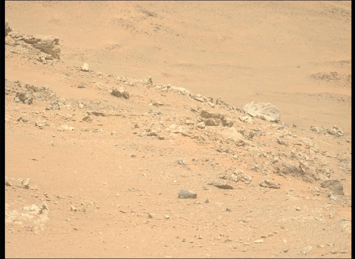 This image was taken by MCZ_LEFT onboard NASA's Mars rover Perseverance on Sol 1319
