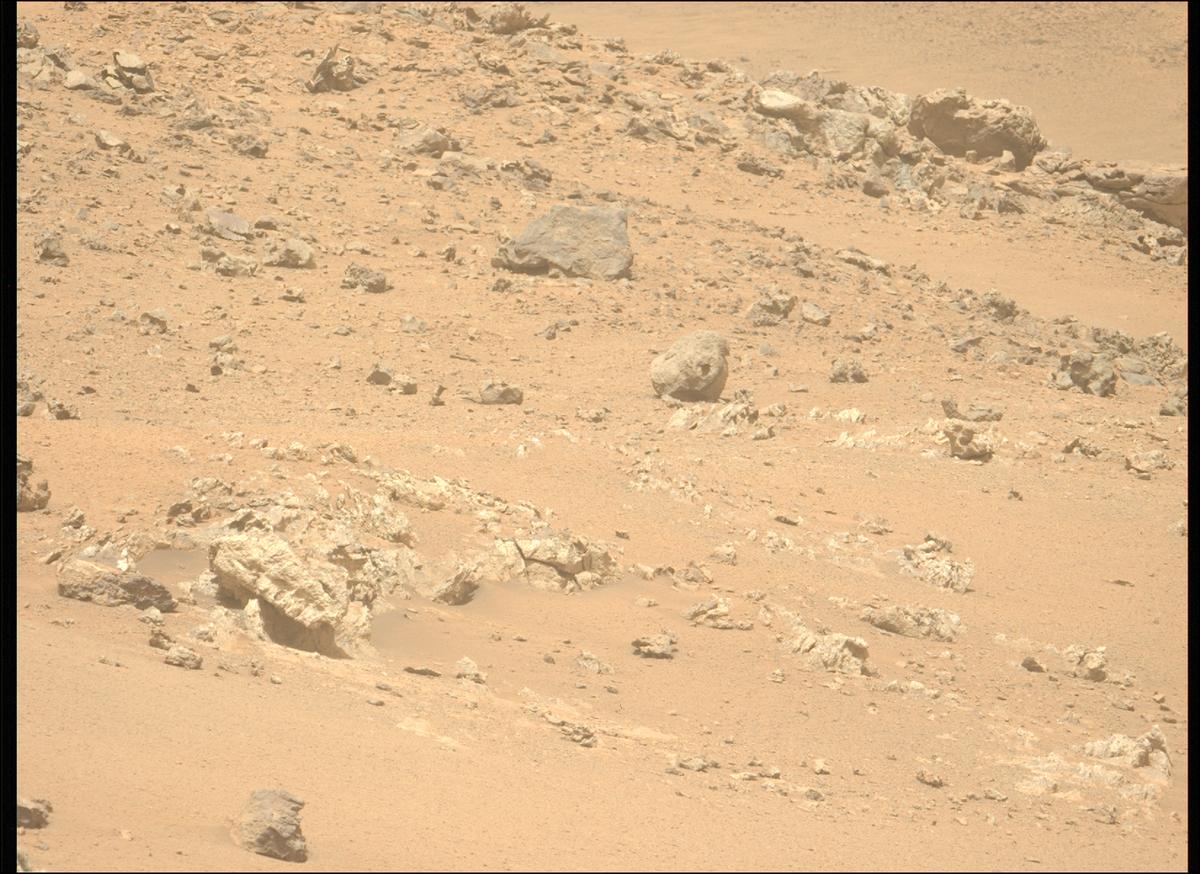 This image was taken by MCZ_LEFT onboard NASA's Mars rover Perseverance on Sol 1320