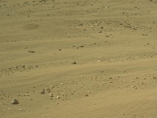 View image taken on Mars, Mars Perseverance Sol 1323: Right Navigation Camera (Navcam)