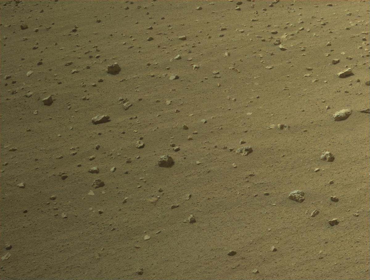 This image was taken by NAVCAM_RIGHT onboard NASA's Mars rover Perseverance on Sol 1323