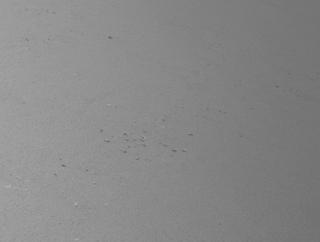 View image taken on Mars, Mars Perseverance Sol 1324: Left Navigation Camera (Navcam)