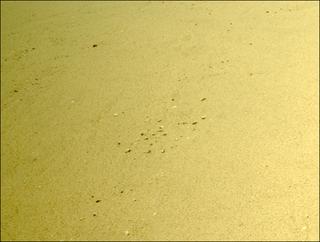 View image taken on Mars, Mars Perseverance Sol 1324: Left Navigation Camera (Navcam)