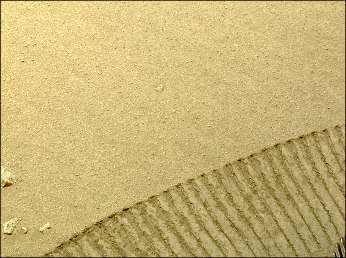 This image was taken by NAVCAM_LEFT onboard NASA's Mars rover Perseverance on Sol 1324