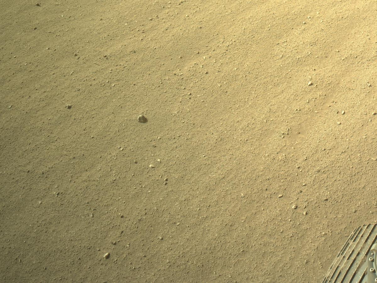 This image was taken by NAVCAM_LEFT onboard NASA's Mars rover Perseverance on Sol 1324