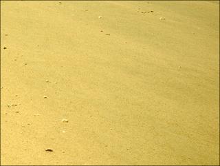 View image taken on Mars, Mars Perseverance Sol 1324: Right Navigation Camera (Navcam)