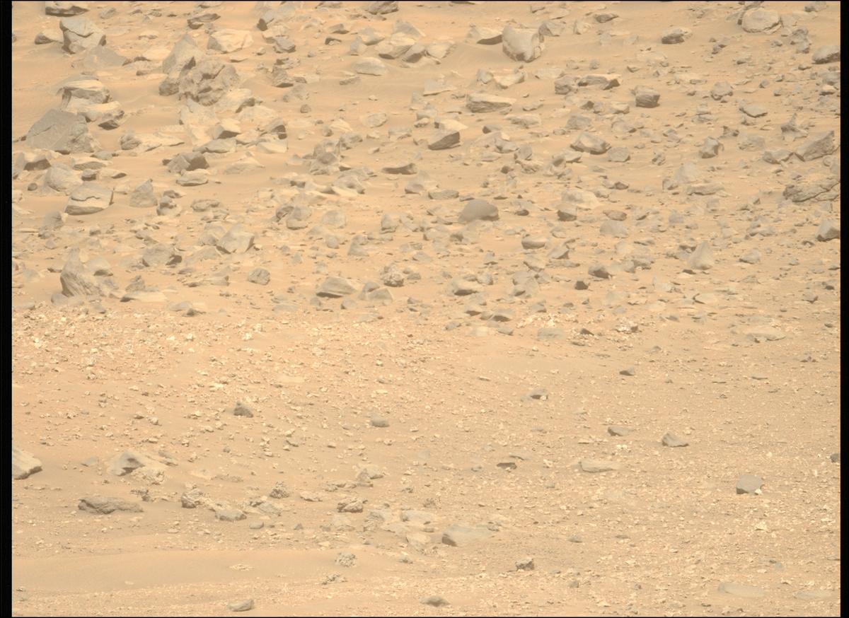 This image was taken by MCZ_LEFT onboard NASA's Mars rover Perseverance on Sol 1324