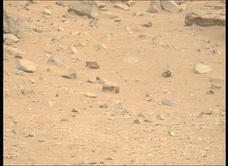View image taken on Mars, Mars Perseverance Sol 1324: Left Mastcam-Z Camera