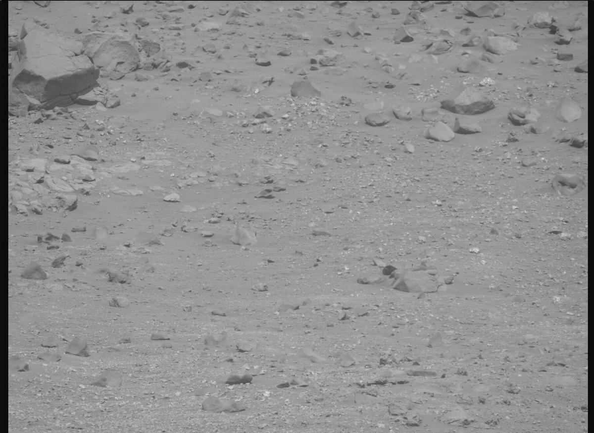 This image was taken by MCZ_RIGHT onboard NASA's Mars rover Perseverance on Sol 1324