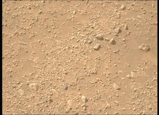 View image taken on Mars, Mars Perseverance Sol 1325: Left Mastcam-Z Camera
