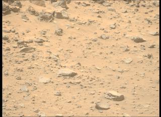View image taken on Mars, Mars Perseverance Sol 1326: Left Mastcam-Z Camera