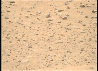 View image taken on Mars, Mars Perseverance Sol 1326: Right Mastcam-Z Camera