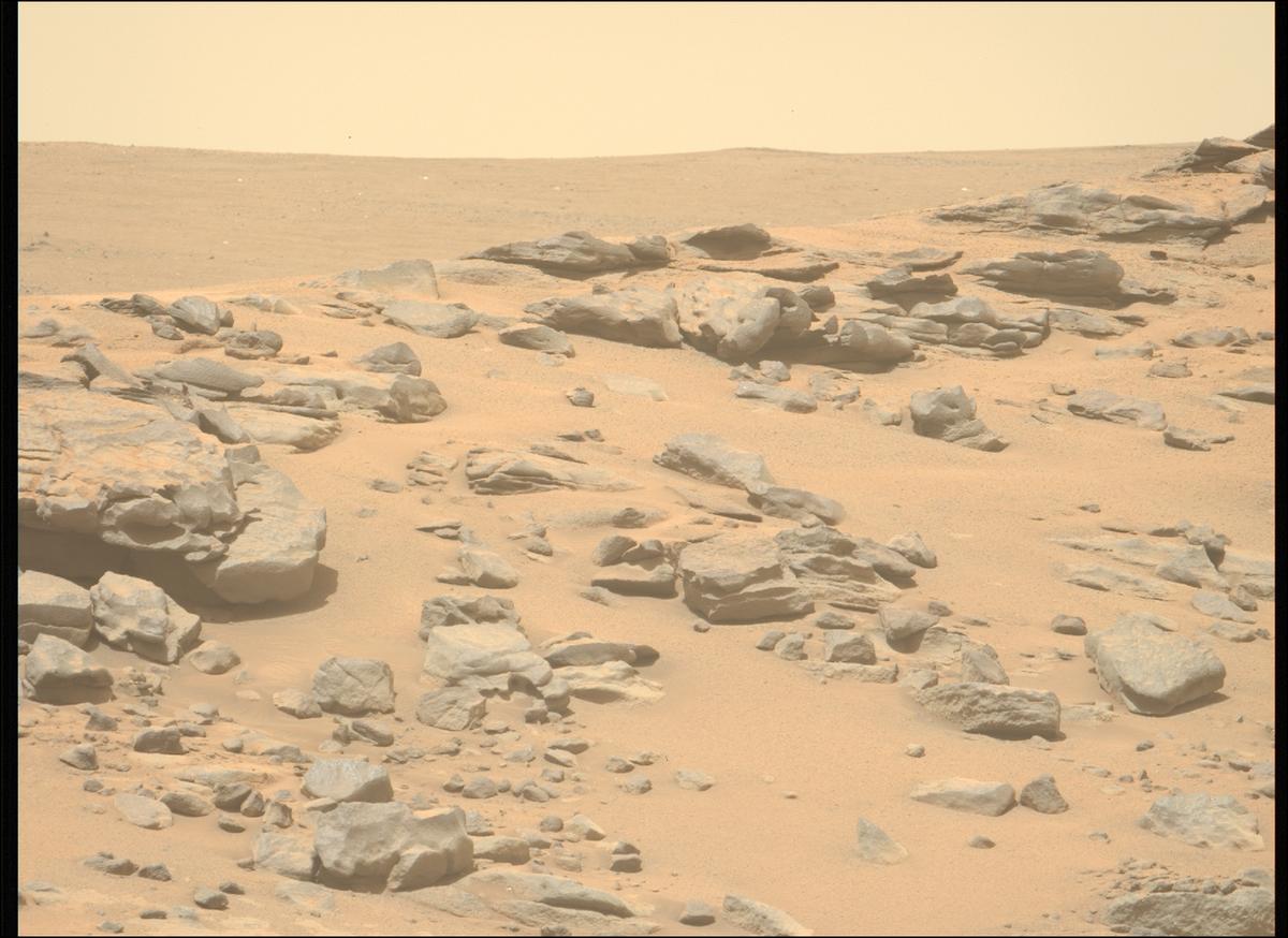 This image was taken by MCZ_LEFT onboard NASA's Mars rover Perseverance on Sol 1327