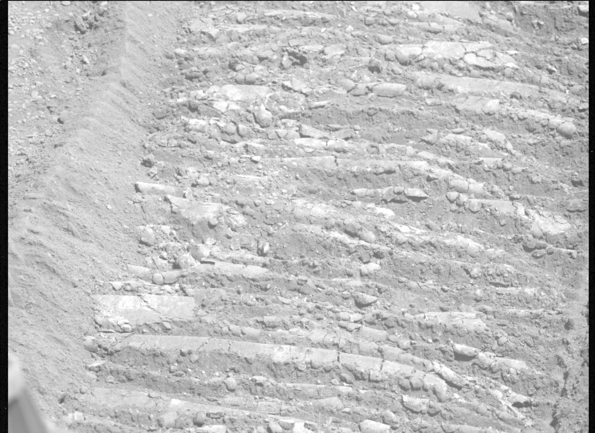This image was taken by MCZ_LEFT onboard NASA's Mars rover Perseverance on Sol 1331