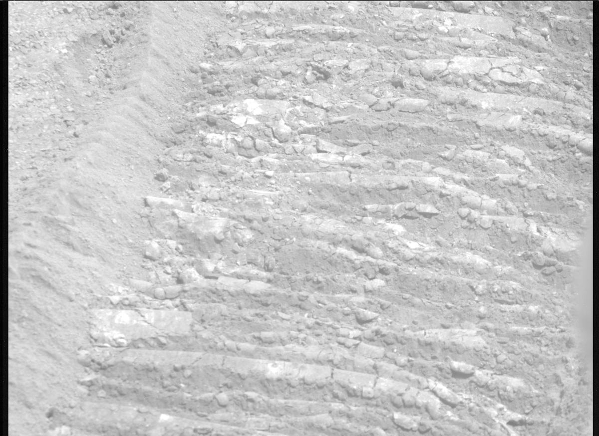 This image was taken by MCZ_RIGHT onboard NASA's Mars rover Perseverance on Sol 1331