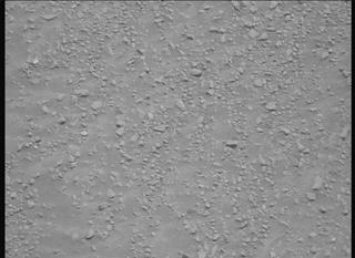 View image taken on Mars, Mars Perseverance Sol 1332: Left Mastcam-Z Camera