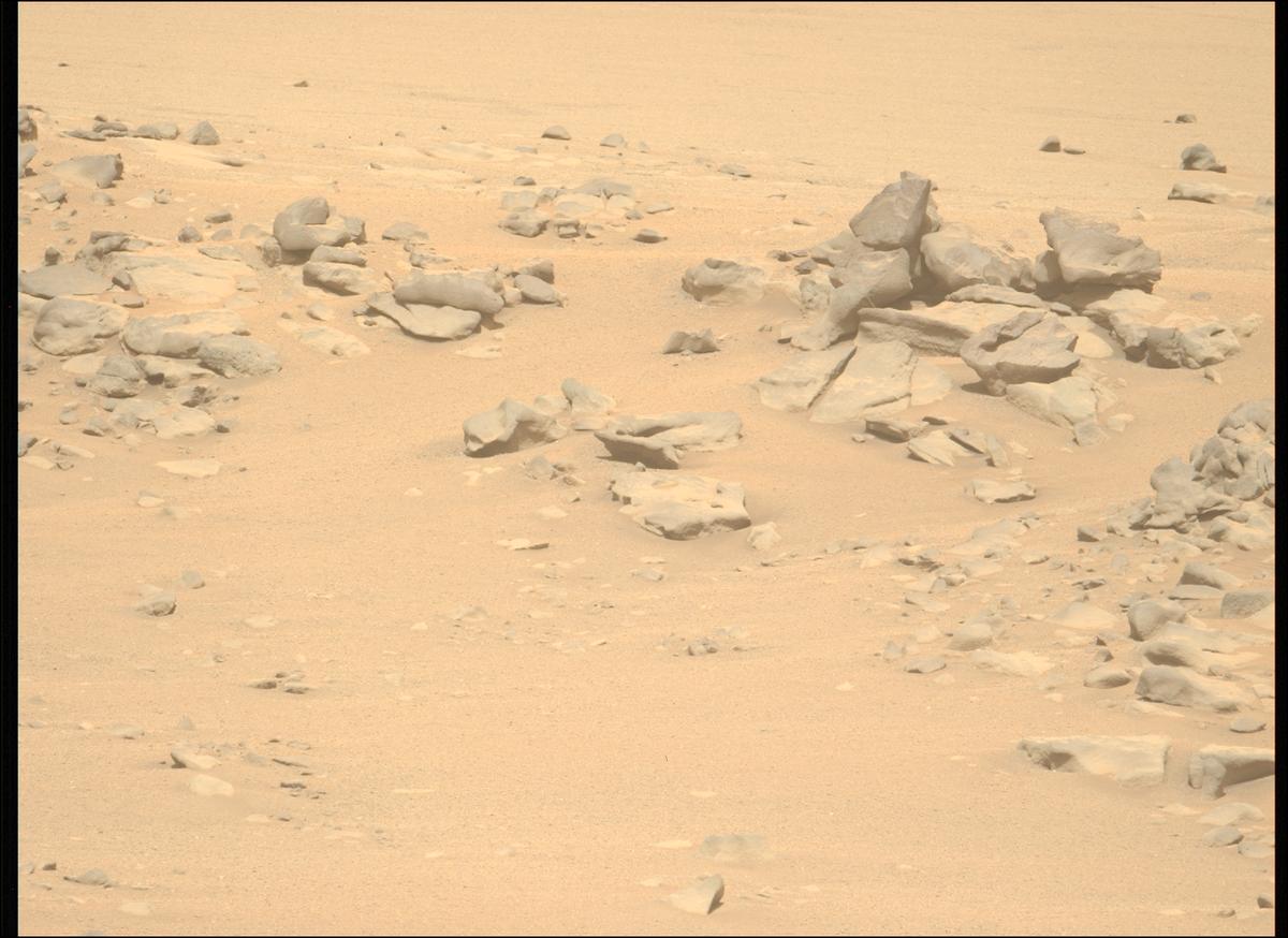 This image was taken by MCZ_LEFT onboard NASA's Mars rover Perseverance on Sol 1333