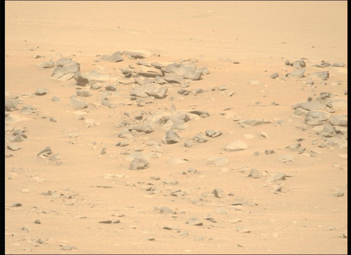 This image was taken by MCZ_LEFT onboard NASA's Mars rover Perseverance on Sol 1333