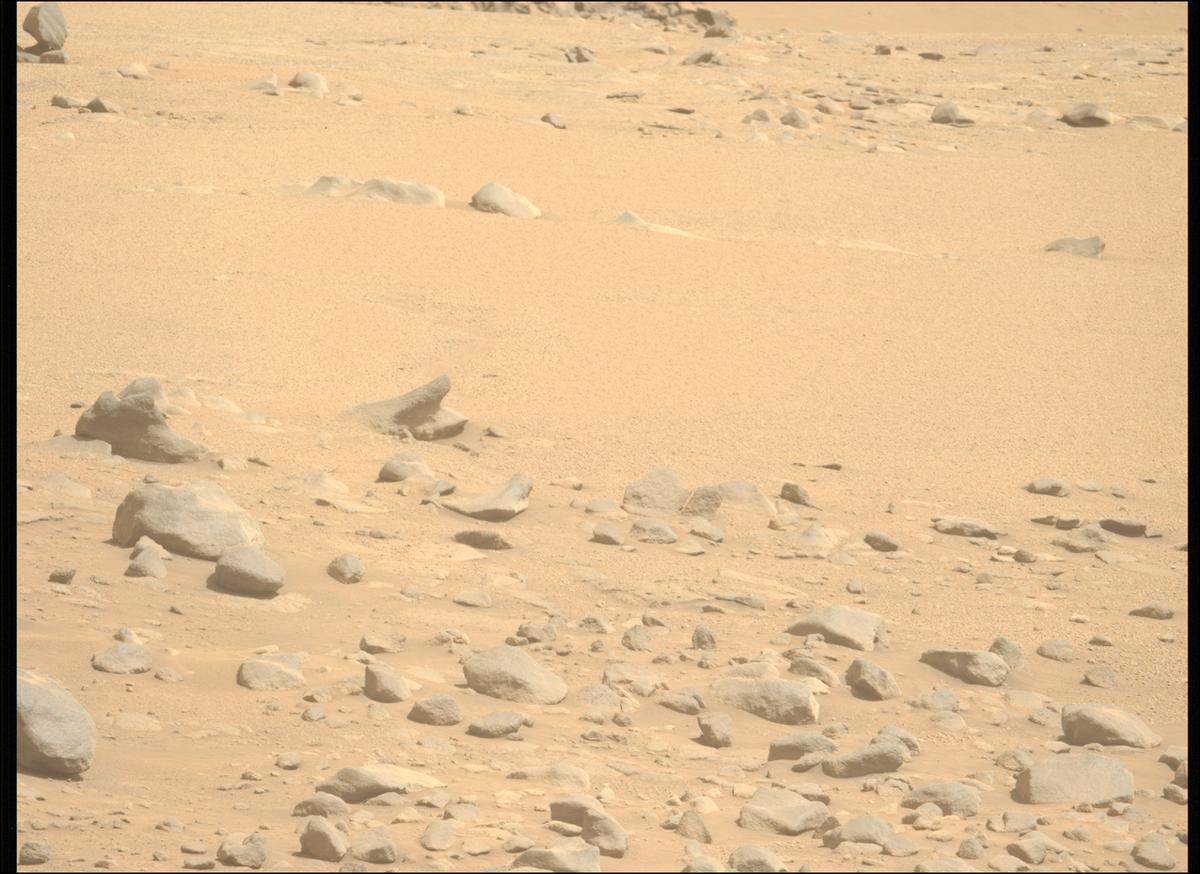 This image was taken by MCZ_LEFT onboard NASA's Mars rover Perseverance on Sol 1333