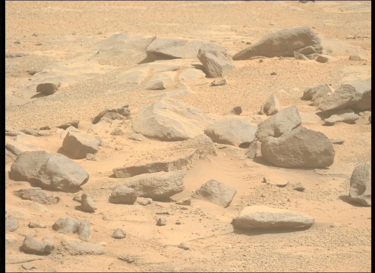 This image was taken by MCZ_LEFT onboard NASA's Mars rover Perseverance on Sol 1333