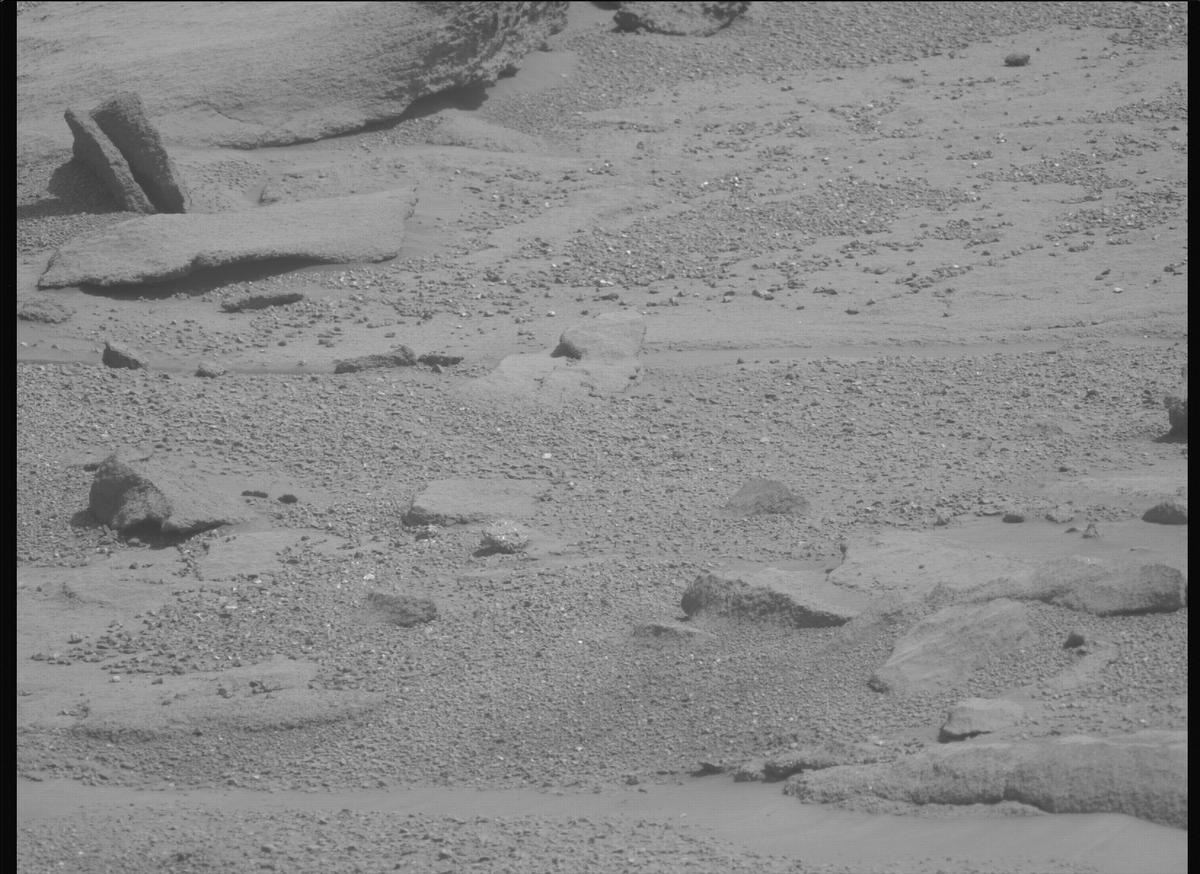 This image was taken by MCZ_LEFT onboard NASA's Mars rover Perseverance on Sol 1333