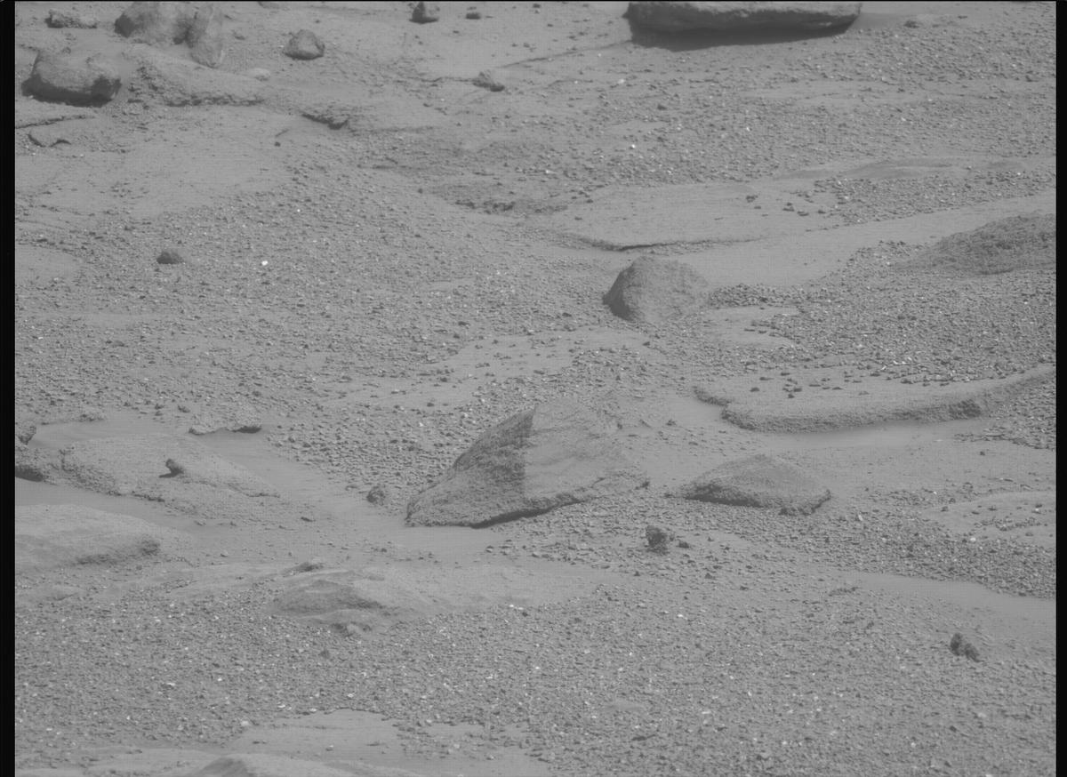 This image was taken by MCZ_LEFT onboard NASA's Mars rover Perseverance on Sol 1333