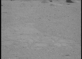 View image taken on Mars, Mars Perseverance Sol 1333: Left Mastcam-Z Camera