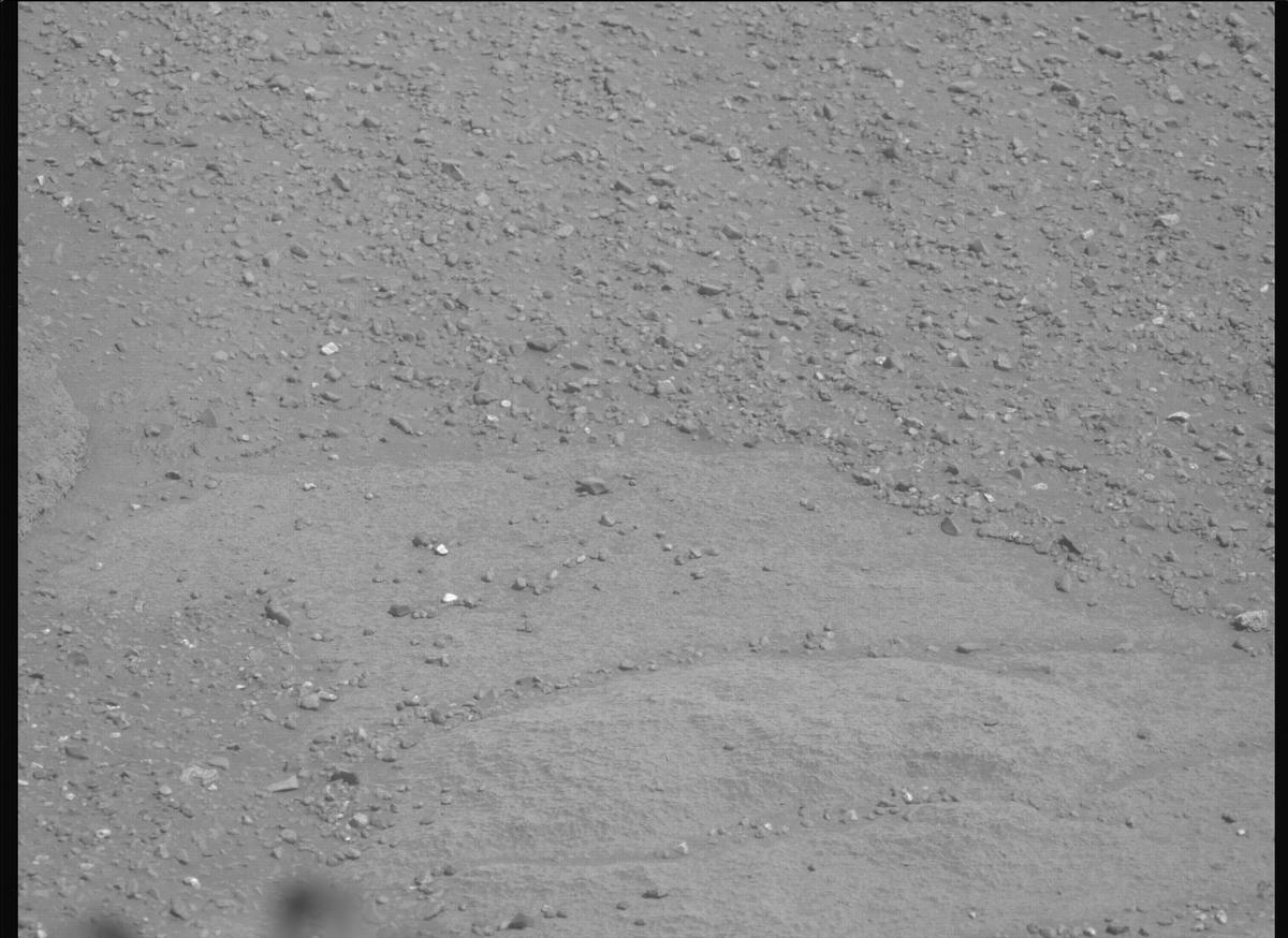 This image was taken by MCZ_LEFT onboard NASA's Mars rover Perseverance on Sol 1333