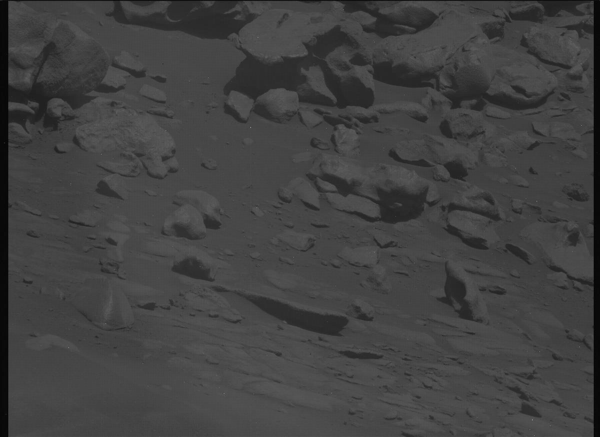 This image was taken by MCZ_LEFT onboard NASA's Mars rover Perseverance on Sol 1333