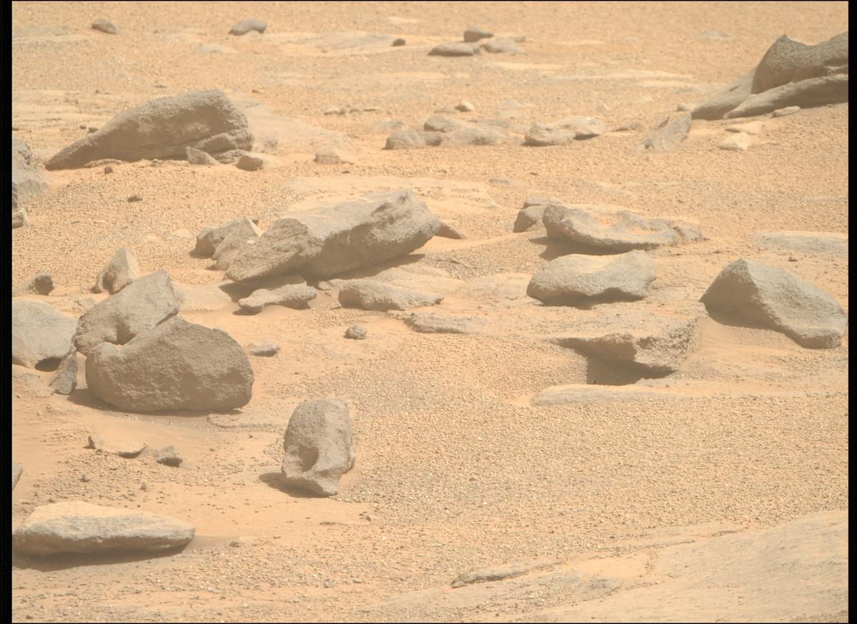This image was taken by MCZ_RIGHT onboard NASA's Mars rover Perseverance on Sol 1333