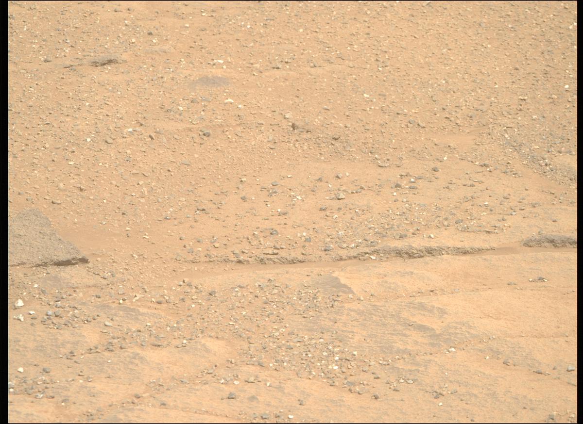 This image was taken by MCZ_RIGHT onboard NASA's Mars rover Perseverance on Sol 1333
