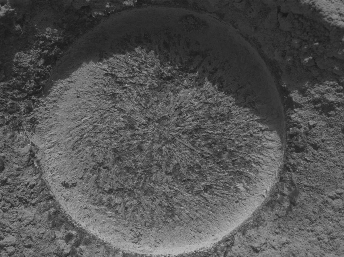 This image was taken by SHERLOC_WATSON onboard NASA's Mars rover Perseverance on Sol 1334